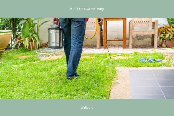 PEST CONTROL Wallburg